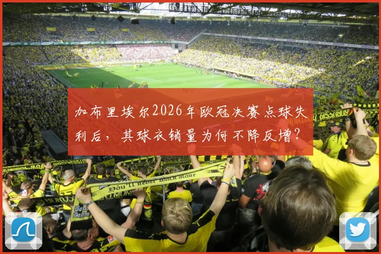 加布里埃尔2026年欧冠决赛点球失利后，其球衣销量为何不降反增？揭秘暖心支持背后的球迷文化