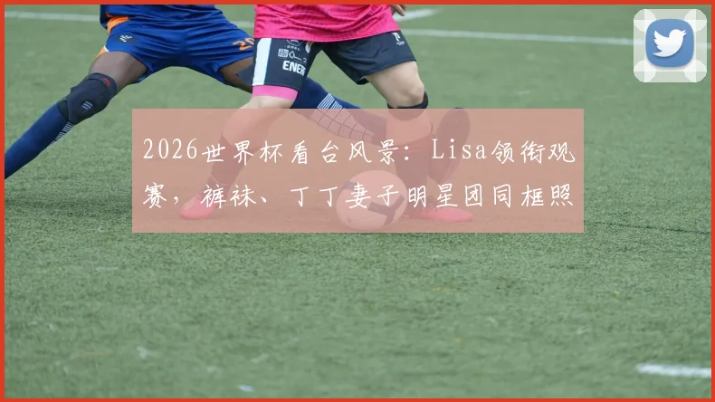 2026世界杯看台风景：Lisa领衔观赛，裤袜、丁丁妻子明星团同框照片集锦